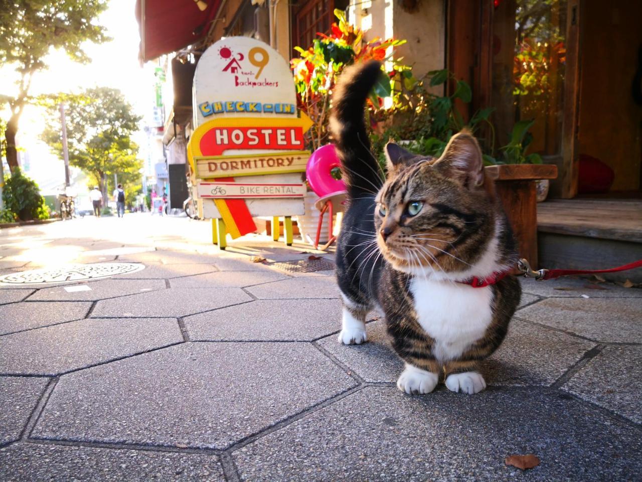 Tani9 Backpackers Osaka Hotel Exterior photo